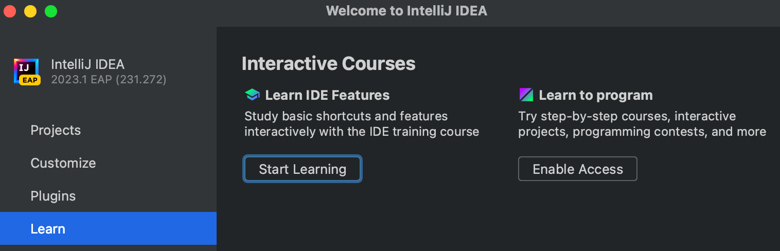 IntelliJ Interactive courses