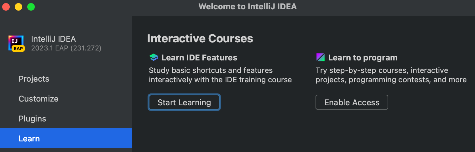 IntelliJ IDEA Інтерактивні курси